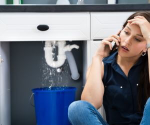 About Water Leak Detection Pros South Holland, IL